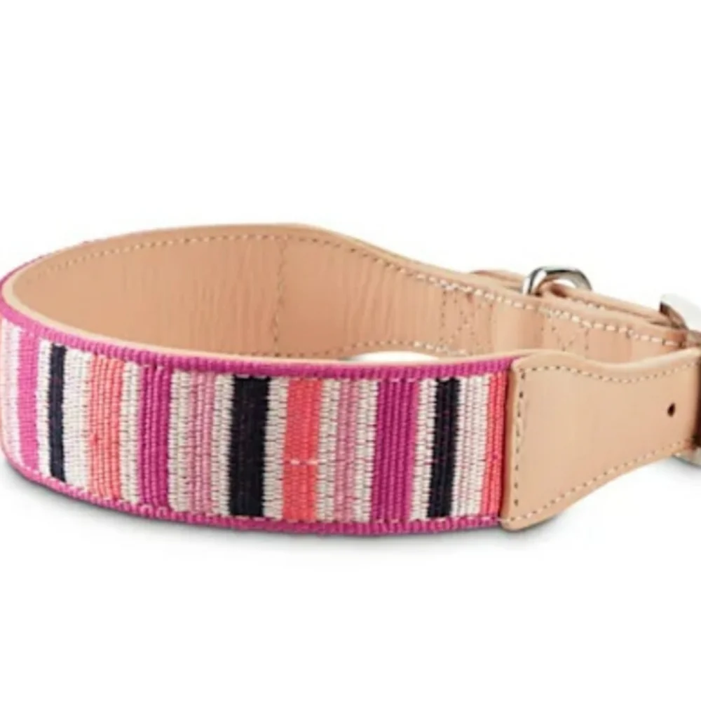 Bond & Co. Sorbet Striped Dog Collar-Small
